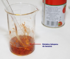 Barevnost látek kolem nás a její změny v průběhu chemické reakce