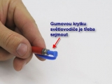 Studium rostlinných barviv