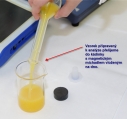 Ověření obsahu vitamínu C