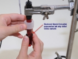 Ověření obsahu vitamínu C